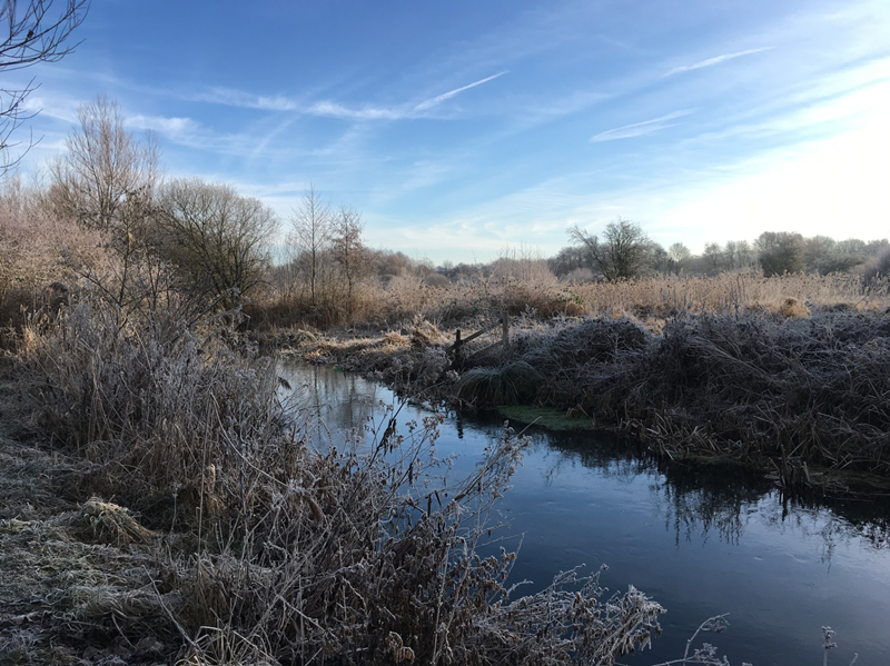 Winall Moors Nature Reserve, photo thanks to Susan Simmonds